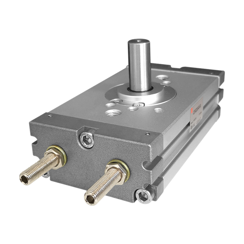 Rotation Angle Pneumatic Air Cylinder CDRQ2BS