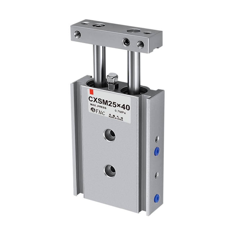 Dual Rod Guided Air Cylinder CXSM