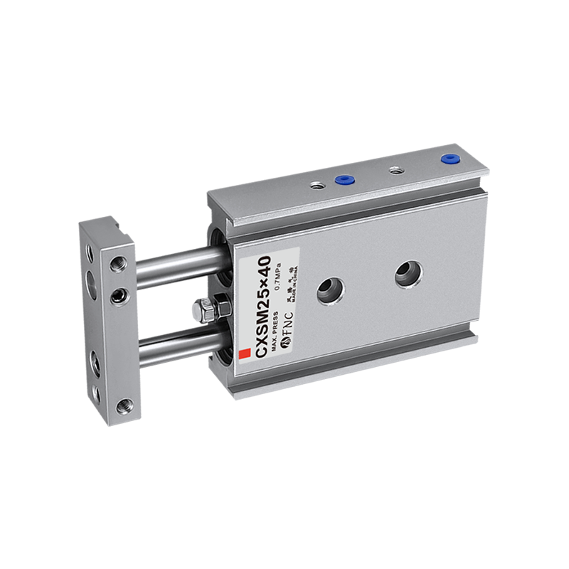 Dual Rod Guided Air Cylinder CXSM